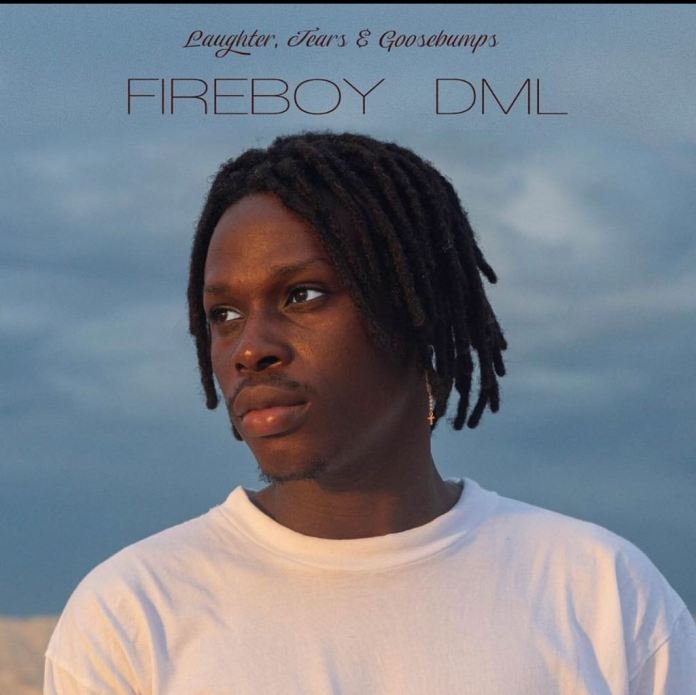 Fireboy DML with the Best Debut Album in "Laughter, Tears and Goosebumps" - REVIEW