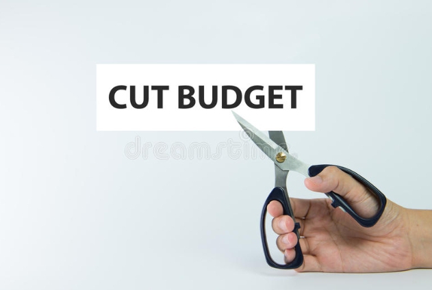 Cut from your budget