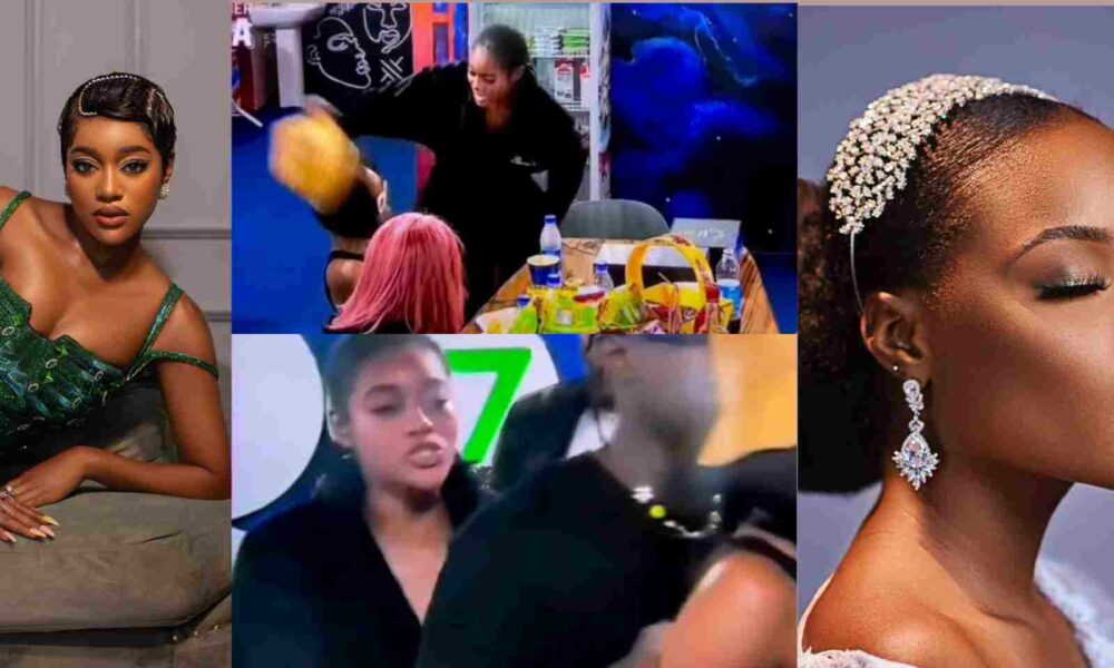 Watch The Moment Beauty Remove Ilebaye's Wig In The House
