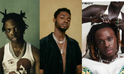 Who Dropped The Best Album Among Rema, Omah Lay And Fireboy DML?