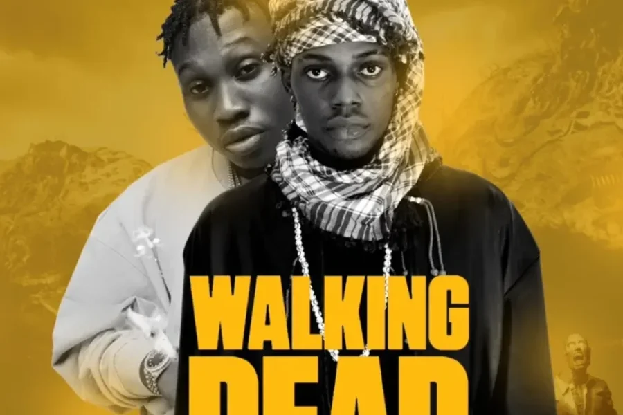 LYRICS: Ayox ft Zlatan - Walking Dead Lyrics | Novice2STAR